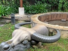 -庐山西海国际温泉度假村