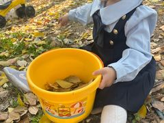 -堤角公园