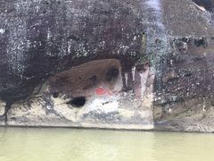 -九曲溪竹筏码头