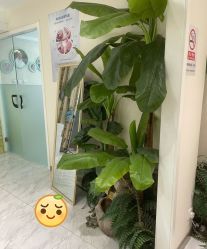 -健身堂科技美肌SPA