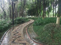 -重庆彩云湖湿地公园