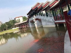 -西海子公园
