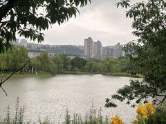 -沐仙湖湿地公园