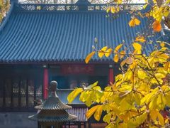 -灵谷景区
