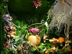 -花漫里·日式の创意餐厅(刺桐店)