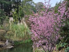 -阿哈湖国家湿地公园