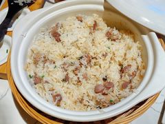 -大鸽饭(岗顶店)