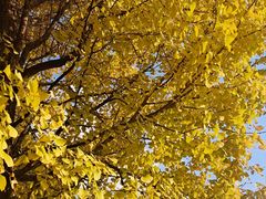 -上海科技馆(地铁站)