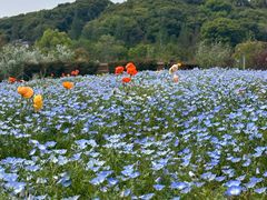 -苏州上方山国家森林公园