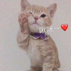 -MVP-专业羽毛无痕接发