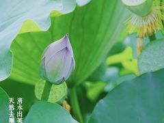 -成都市文化公园