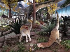 -湖南省地质博物馆