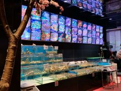 水产区-金太阳海鲜烧烤·本地人餐厅(东纬路旗舰店)