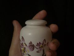 -彩虹桥宠物火化殡葬善终服务(金乐大厦店)