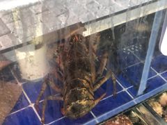 -香满居张记小厨私房菜(青岛站店)