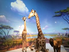 -贝林大翅鲸简餐厅(国家海洋博物馆店)