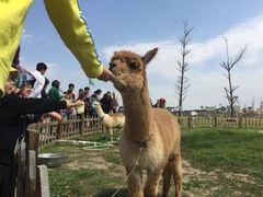 -长廊欢乐园