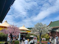 -珠海圆明新园