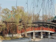 -迎泽公园