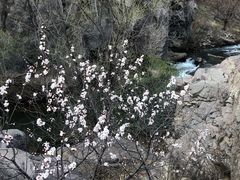 -百里山水画廊