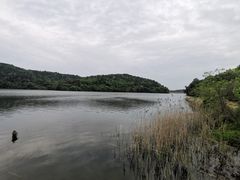 -南京市无想山景区