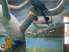 -石家庄市动物园