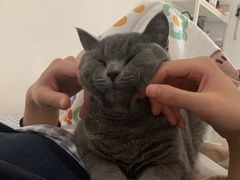 -联合动物医院(光谷诊疗中心)