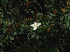 -青岛德国监狱旧址博物馆