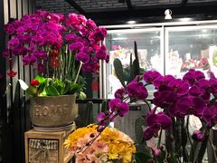 -豆豆花艺(新光天地店)