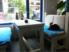 靠窗位-Anne猫窝咖啡屋