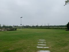 -上海崇明金茂凯悦酒店