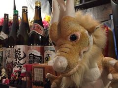 -金龙咖喱