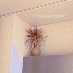 点击看大图 -VALMONT·若嫚蝶国际美肤中心
