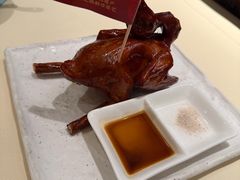 -侨美食家·粤菜(体育西路店)