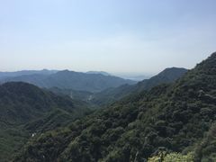 -大岭沟猕猴桃谷风景区
