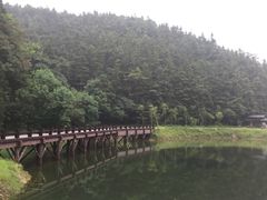 -酒仙湖景区