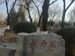 -济南植物园