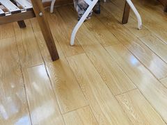 -Cappucimeow猫咪咖啡馆(韦伯时代店)