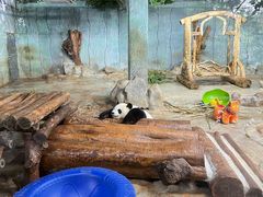 -海南热带野生动植物园