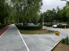 -绿堤公园