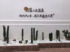 -巽寮湾