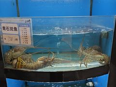 -满江红大酒店(城站店)