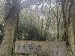 -鲁镇