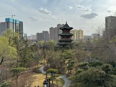 -迎泽公园