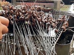 -杨婆婆烤肉(文昌阁店)