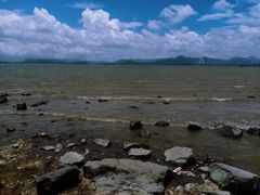 -深圳湾公园(南山区)