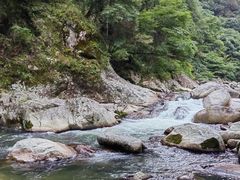 -炎陵县神农谷国家森林公园