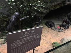 -北京周口店北京人遗址博物馆