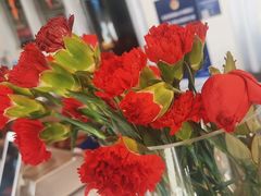-裕龙汤泉