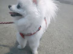 -海底捞火锅(长沙华创国际广场店)